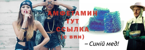 индика Вяземский