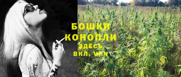мдпв Вязьма