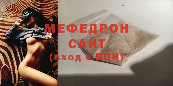индика Вяземский