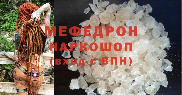 индика Вяземский