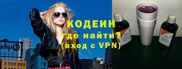индика Вяземский