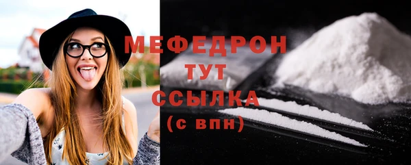 индика Вяземский