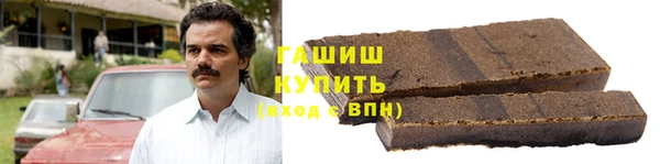 индика Вяземский