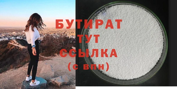 индика Вяземский