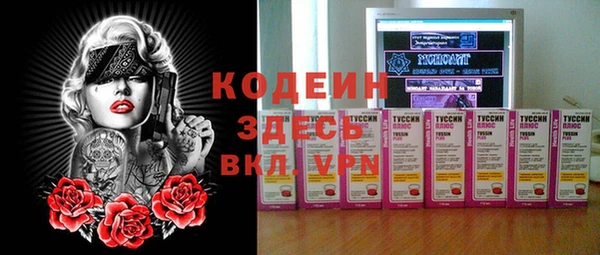 индика Вяземский
