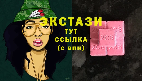 индика Вяземский
