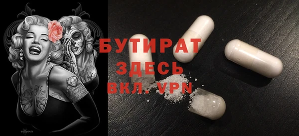 индика Вяземский