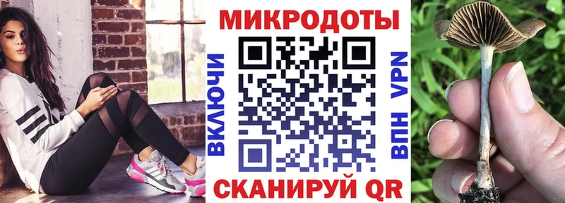 Купить  Спасск  Псилоцибиновые грибы Psilocybe 