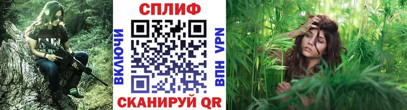 Купить  Спасск  Конопля семена 